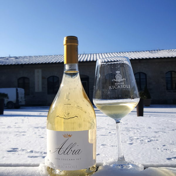 Albia Bianco 2016