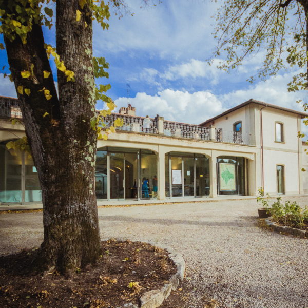associazione-viticoltori-gaiole-in-chianti-ph-linda-frosini-3102 associazione-viticoltori-gaiole-in-chianti-ph-linda-frosini-3102
